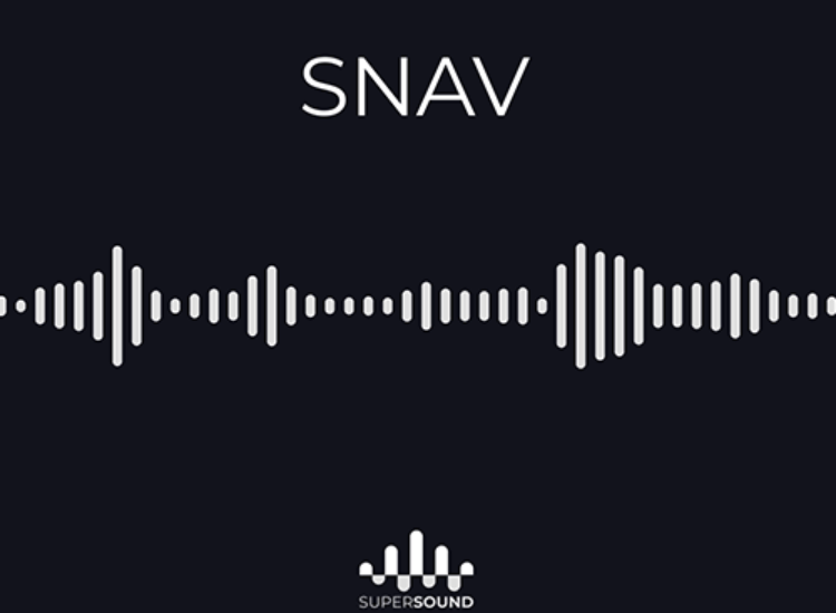 Snav